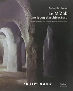 Le M'Zab, une leçon d'architecture