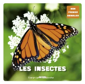 Les insectes