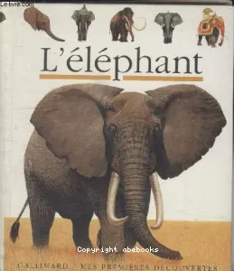 L' éléphant