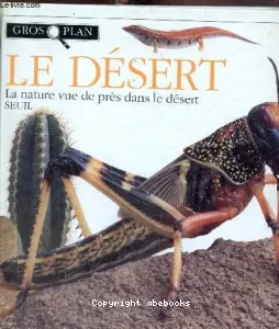 Le désert