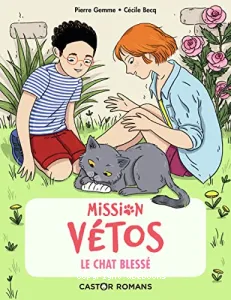 Mission vétos