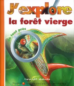 J'explore la forêt vierge