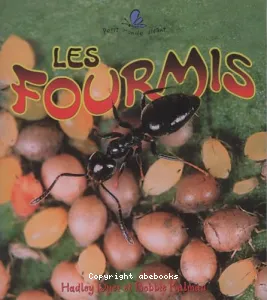 Les fourmis