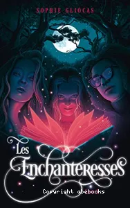 Les enchanteresses et le grimoire volé