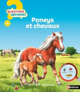 Poneys et chevaux