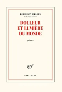 Douleur et lumière du monde