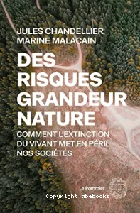 Des risques grandeur nature