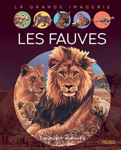 Fauves (Les)