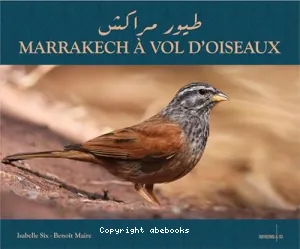 Marrakech à vol d'oiseaux