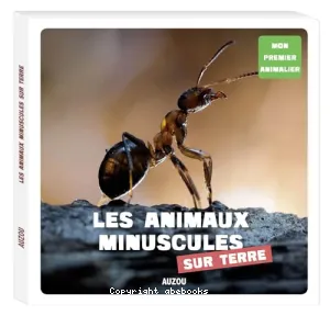 Les animaux minuscules de la terre