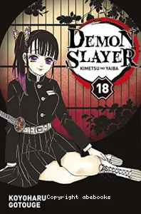 Demon Slayer Tome 18