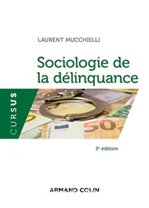 Sociologie de la délinquance