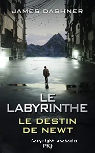 Le Labyrinthe