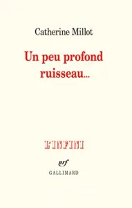 Un peu profond ruisseau