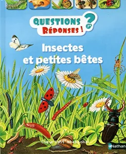 Insectes et petites bêtes