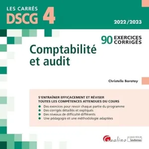 Comptabilité et audit