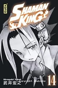 Shaman King