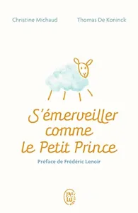 S'émerveiller comme le Petit Prince