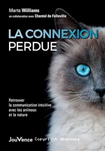 La connexion perdue