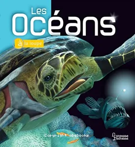 Les océans