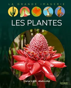 Les plantes