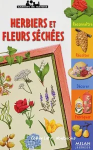 Herbiers et fleurs séchées