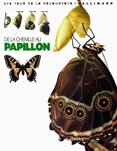 De la chenille au papillon