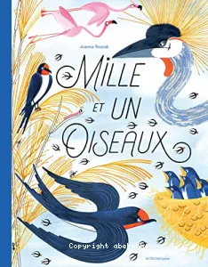 Mille et un oiseaux