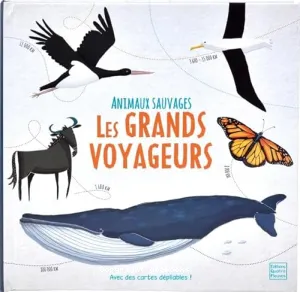 Grands voyageurs (Les)