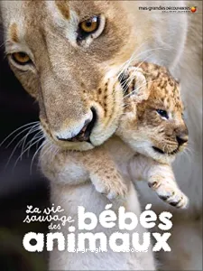 La vie sauvage des bébés animaux