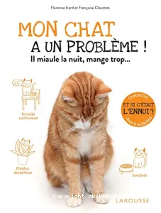 Mon chat a un problème !