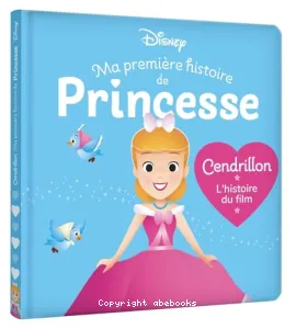 Cendrillon, l'histoire du film