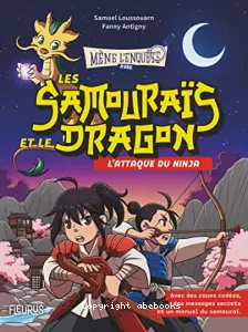 L'attaque du ninja