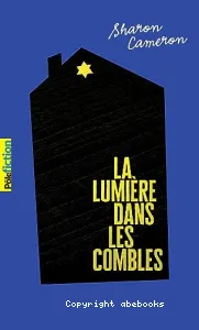 La lumière dans les combles