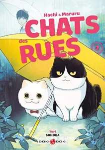 Chats des rues