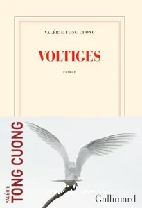 Voltiges