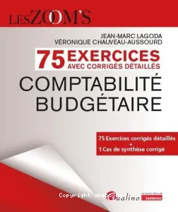 Comptabilité budgétaire