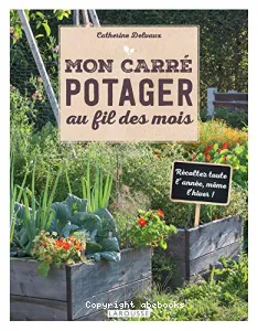 Mon carré potager au fil des mois