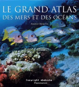 Grand atlas des mers et des océans (Le)