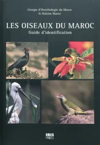 Les oiseaux du Maroc
