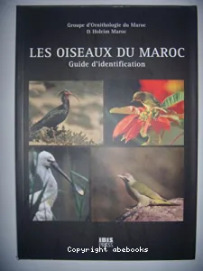 Les oiseaux du Maroc