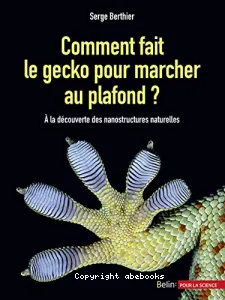 Comment fait le gecko pour marcher au plafond ?