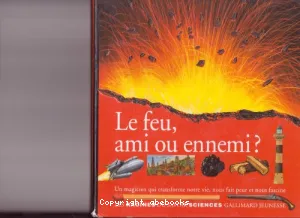 feu, ami ou ennemi ? un magicien qui transforme notre vie, nous fait peur et nous fascine (Le)