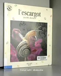 Escargot (L')