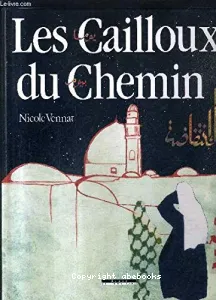 cailloux du chemin ou ''L'Intifada, au jour la nuit'' (Les)