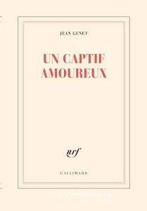 captif amoureux (Un)