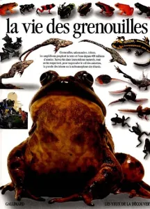 vie des grenouilles (La)