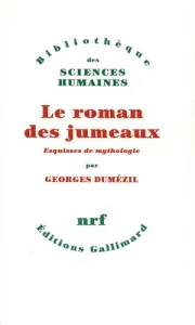 roman des jumaux (Le)