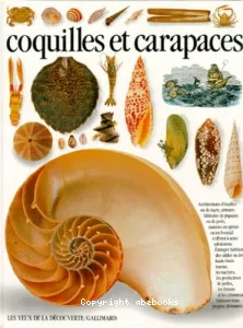 Coquille et carapaces