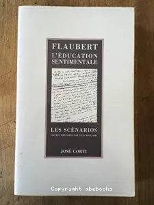 "L'Education sentimentale'' les scénarios